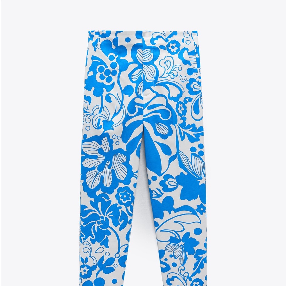 Zara High Waisted Printed Pants Size 2